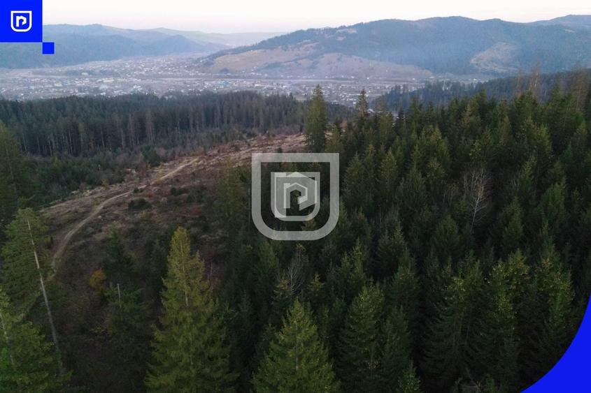 Teren extravilan de 3139 mp, în Vest