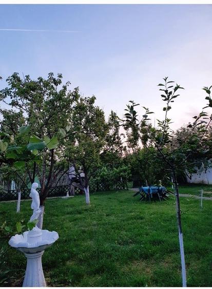 Casă individuală cu 9 camere cu Piscina în Giarmata
