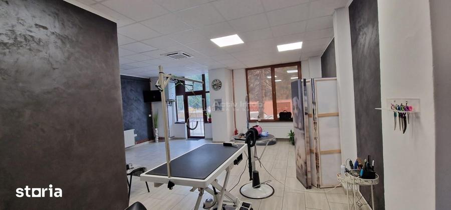 Spațiu comercial, de 50 mp, în Central