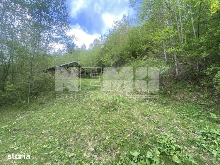 Teren de 3100 mp, în Frasin