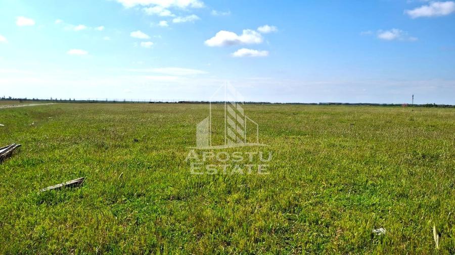 Teren Construcții intravilan de 31297 mp, în Vladimirescu