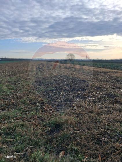 Teren intravilan 3400mp de vanzare la Santion - 4