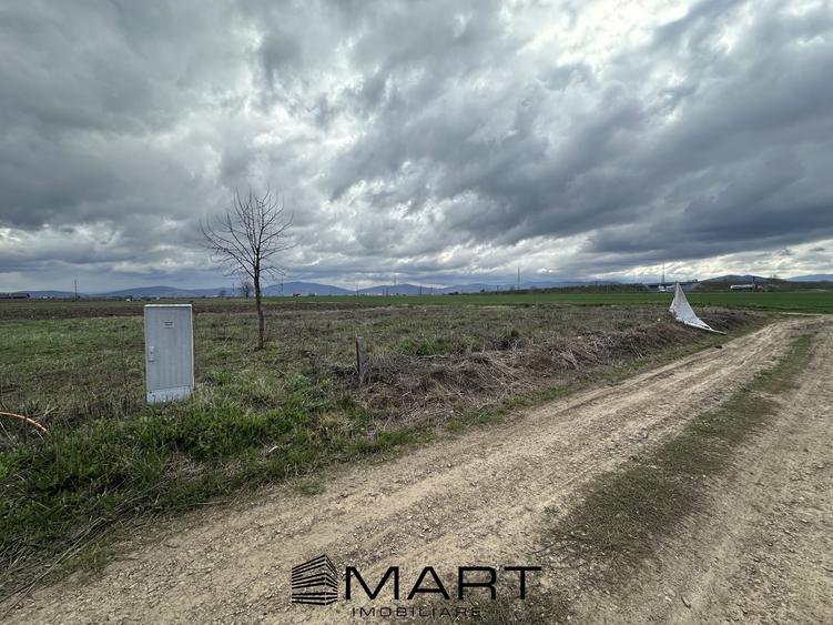 Teren intravilan 520 mp Harman - 5