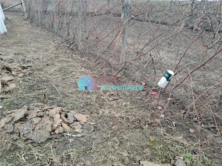 Teren intravilan 700 mp Sf. Ilie - 4