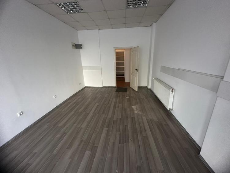 SAD zona Lipovei Dedeman - 8