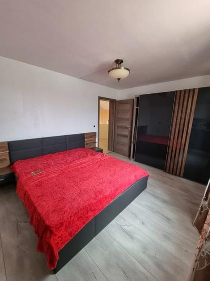 Casa de vanzare spre Vetis, drum principal - 20