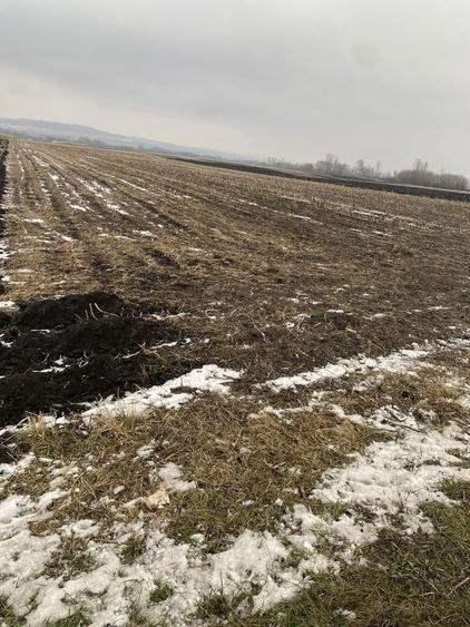 Teren de vanzare - 1