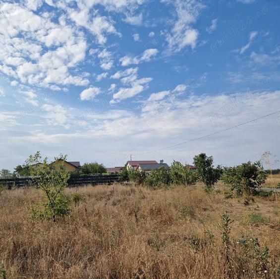 Vand teren intravilan Mogosesti , Giurgiu - 1