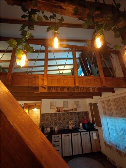 EXCLUSIVITATE! Cabana cu o priveliste unica in Niscov - 15