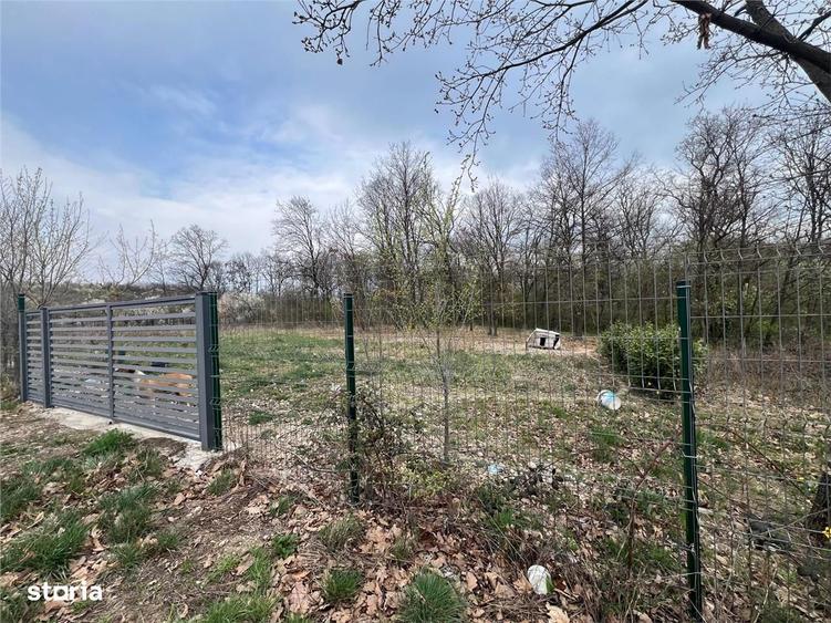 RECO Teren Saldabagiu de Munte - 4