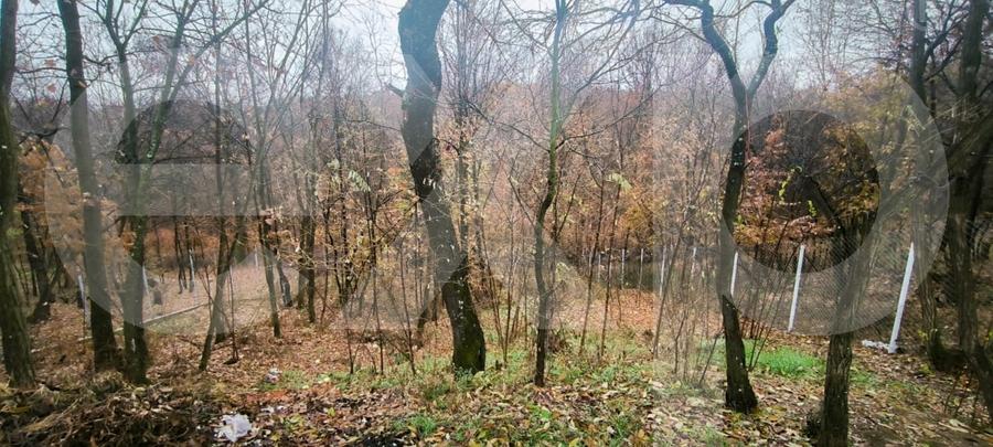 Casa moderna, gata de mutare, la 12 km de Pitesti – Babana, Slatioarele - 15