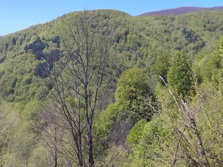 Teren Cerna izvoare - 2