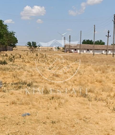 Ferma Pantelimon 10 hectare - 5