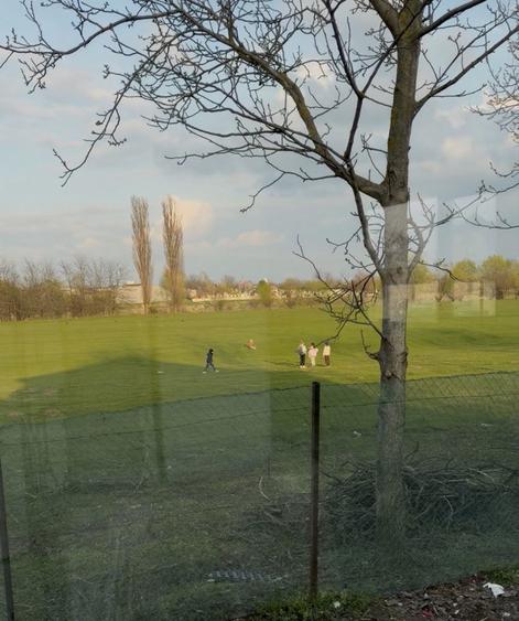 Teren Braniste Manastirea Jitianu - 2