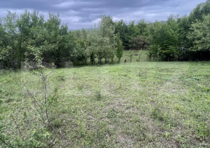 Teren extravilan 5200 mp Budacul de Jos- Investi?ie ex - 2