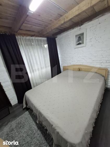 Colt de rai in Muntii Calimani cabana ideala pentru vacanta sau in - 11