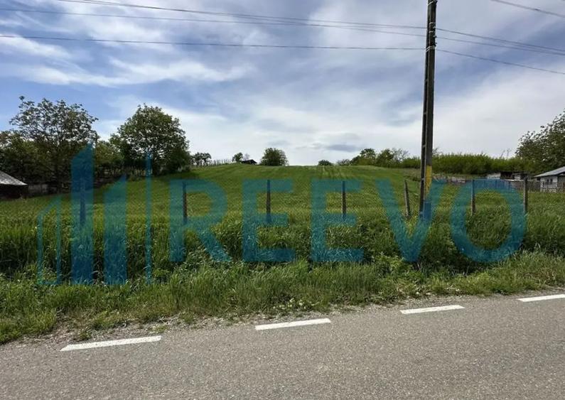 Teren de vanzare, Sat Valea Mare, Com. Ro?iori, Bacau - 8