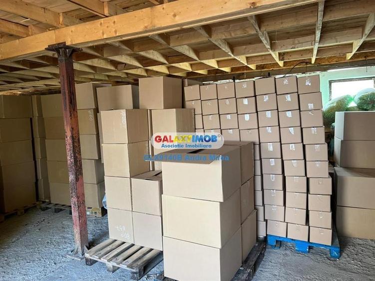 Inchiriere hala industriala Moara Vlasiei 2 IMOBILE - 4