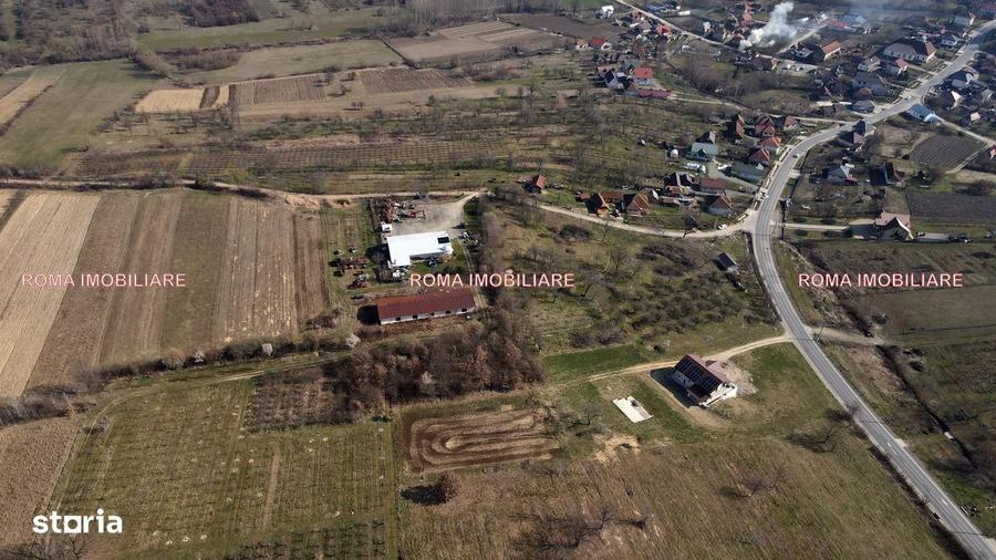 Teren intravilan Berchez 3700 mp+ 2950 mp Utilita?i 700/ar NEGOCIABIL - 10