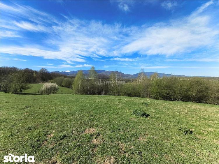 Teren de vanzare in Talmaciu zona Bratanu - 2