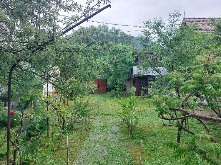 casa de vanzare - 5