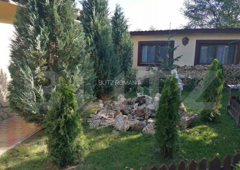 Casa 5 camere, 1100 mp teren, Birnova