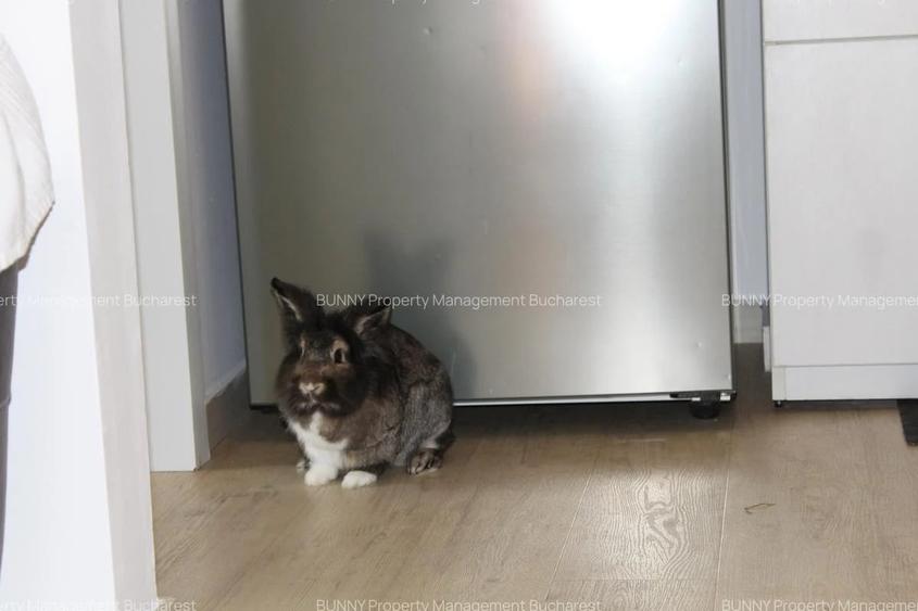 *SHORT TERM/LONG TERM RENTAL* AM256 - MODERN CITY CENTRE APARTMENT - 38