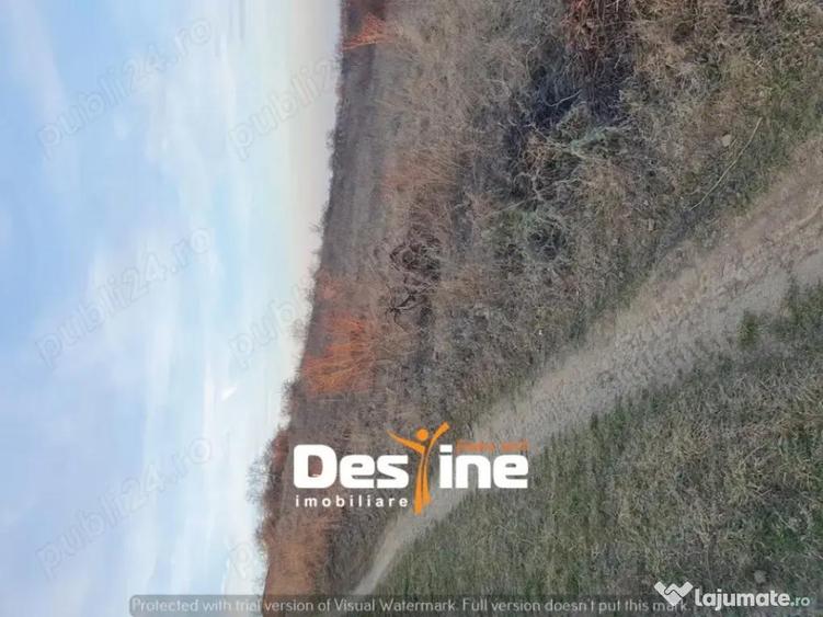 Teren Chicerea, 1250 mp, zona in plina dezvoltare, 25 eur - 3