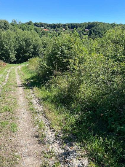 Teren de vanzare - Casele Micesti, comuna Feleacu, Cluj - 7