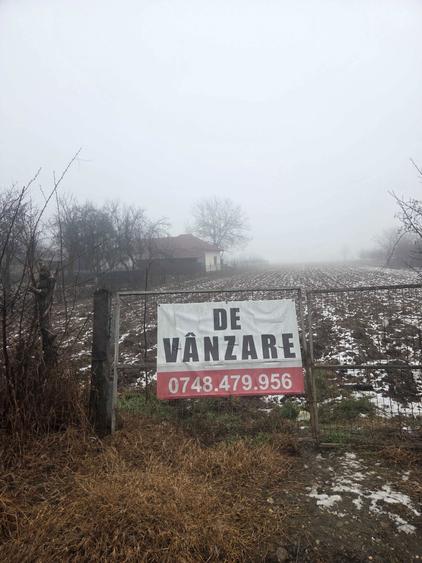 De vanzare teren intravilan Maracineni Arges - 4
