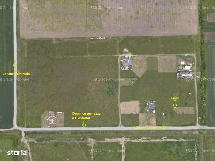 Teren 978 Mosnita - 2