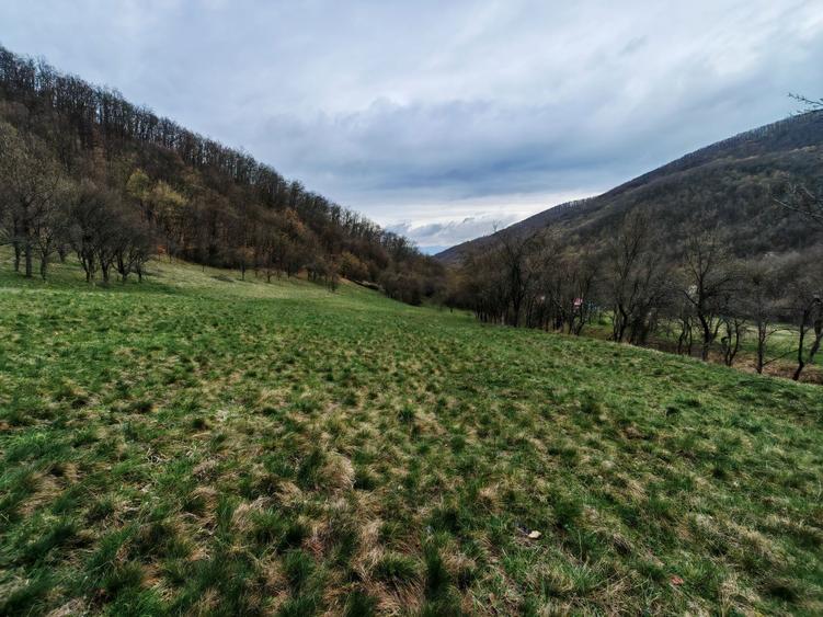 Proprietate cu 12.000 mp teren + casa | Priveliste superba | I - 1