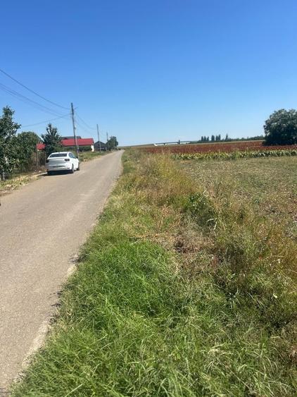 Teren de 10000 mp, în Băjani