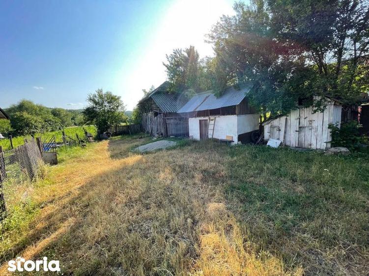 Vand Casa + teren 12.000 mp in Cernisoara, sat Modoia, Valcea - 5