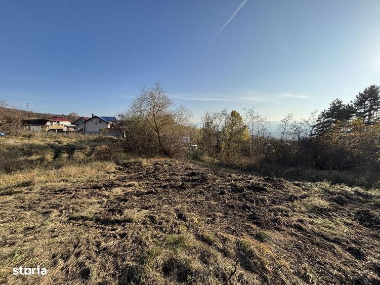 Teren Pomet/3 km Auchan - 7