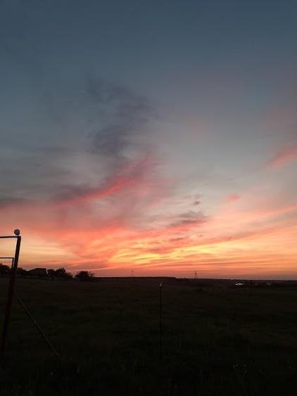 Teren intravilan 600 mp – pentru casă sau escapade de weekend, 35 km Bucuresti - 9