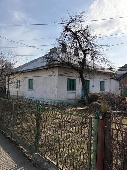 Vand casa batraneasca str Crinilor 36 - 3