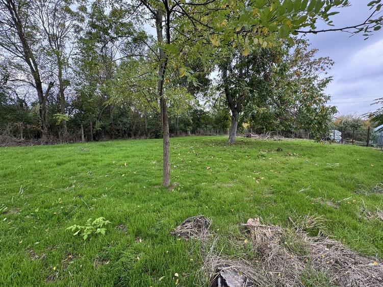 Vand teren Bolintin Deal - 4