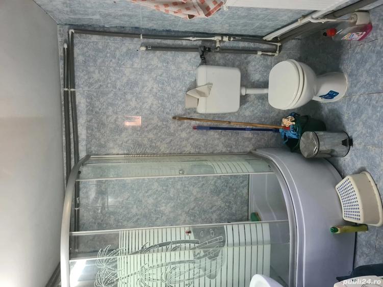 Vand casa la curte cu imbunatatiri - 7