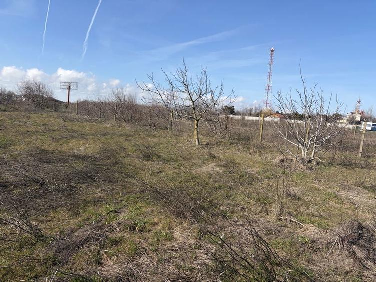 Teren 2Mai, vanzare si in rate sau schimb - 4