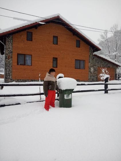 Cabana de vanzare la poalele muntilor Metaliferi - 8