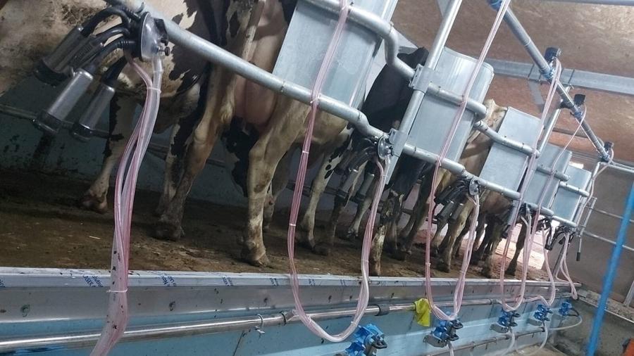 Ferma zootehnică funcțională, populată cu peste 200 capete bovine, aproape de Sâ - 11