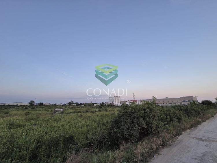 Teren  - pretabil pentru industrial - Centura -  Clinceni - 1