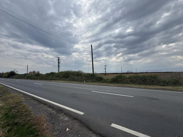 Vand Teren Extravilan Biled(zona industriala) 25.000mp,F.S la DN6 - 1