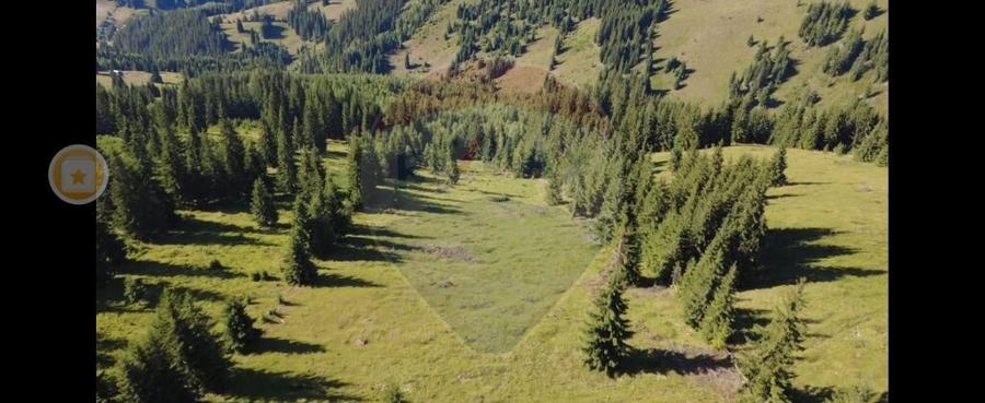 Teren 24,581mp Panaci / Strada Mihaile? - 3