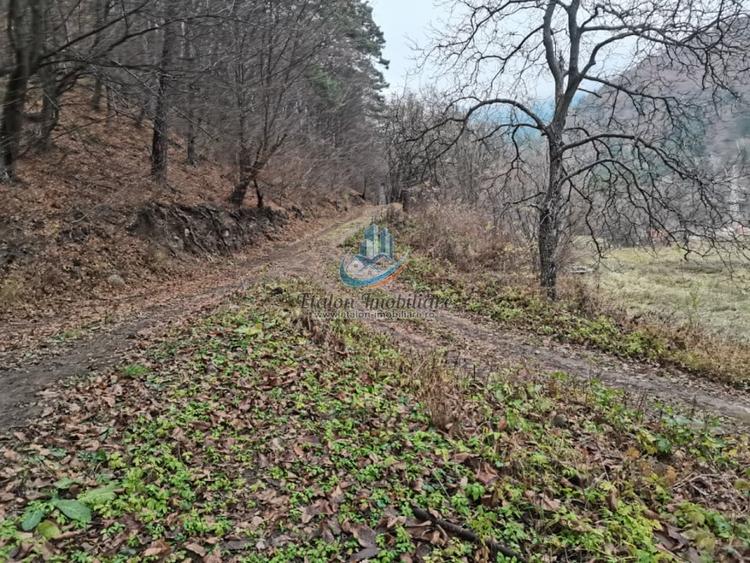 Teren Straja – Pangarati 3560 m, zona de Pensiune - 6