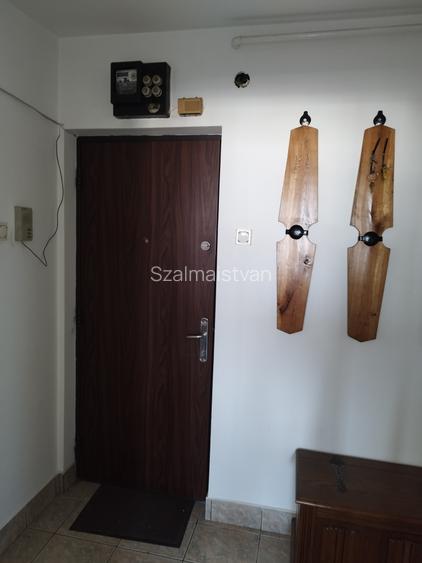 Vand ap. cu 2 cam.in zona  Ultracentrala