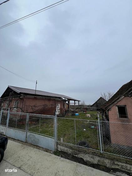 Casa sat Piscari | 16 Ari teren - 5