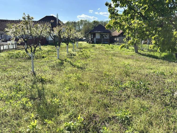 De vanzare casa Stanesti-Alexeni casa+teren 6150mp - 2