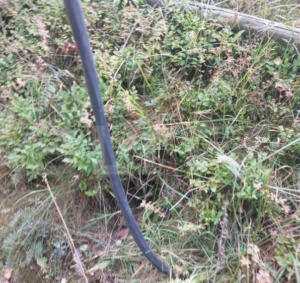 Oportunitate rara de a investi intr-un teren in Fundata-Br - 6